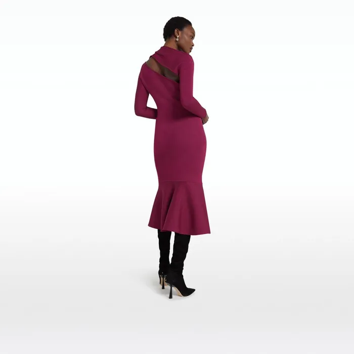 Annabel Burgundy Knit Women Safiyaa Dresses