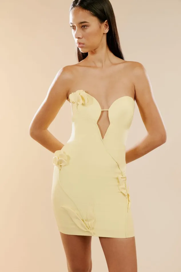 Bardot Party Dresses Eleni Flower Detail Mini Dress In Canary Yellow Canary Yellow 8211 Women Bardot Party Dresses Eleni Flower Detail Mini Dress In Canary Yellow Canary Yellow 8211 Women