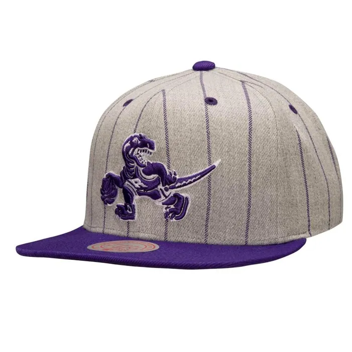 Hats and Headwear Men Mitchell and Ness Grey Pin Pop Snapback HWC Toronto Raptors