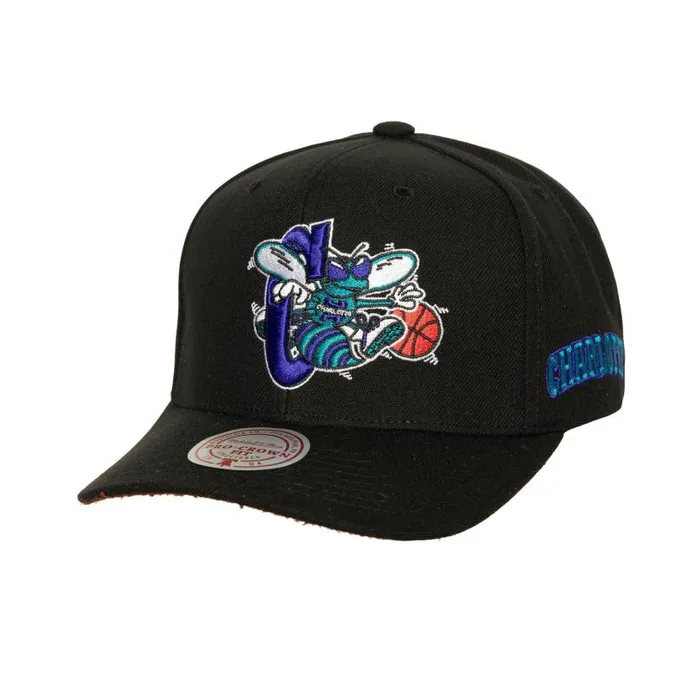 Hats and Headwear Men Mitchell and Ness Icon Grail Pro Snapback HWC Charlotte Hornets