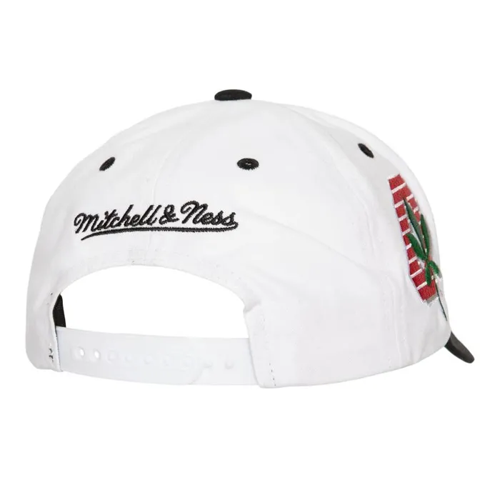 Hats and Headwear Men Mitchell and Ness Tail Sweep Pro Snapback Ohio State Hats and Headwear Men Mitchell and Ness Tail Sweep Pro Snapback Ohio State