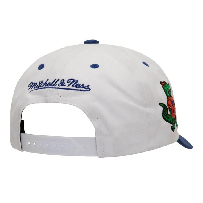 Hats and Headwear Men Mitchell and Ness Tail Sweep Pro Snapback V University Of Florida Hats and Headwear Men Mitchell and Ness Tail Sweep Pro Snapback V University Of Florida