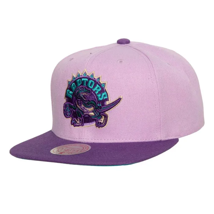 Hats and Headwear Men Mitchell and Ness Violet Views Snapback HWC Toronto Raptors