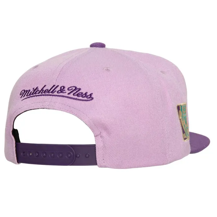 Hats and Headwear Men Mitchell and Ness Violet Views Snapback HWC Toronto Raptors Hats and Headwear Men Mitchell and Ness Violet Views Snapback HWC Toronto Raptors