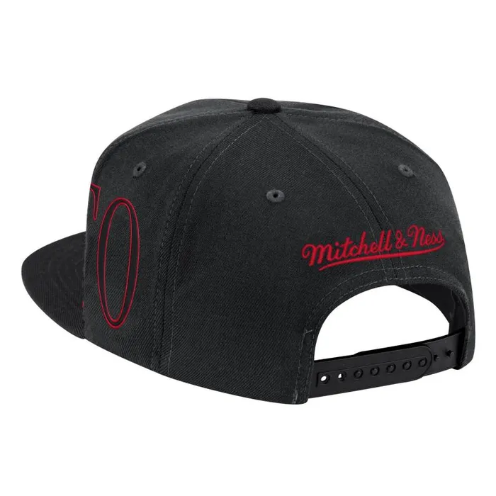 Hats and Headwear Men Mitchell and Ness Winner Circle Snapback Toronto Raptors Hats and Headwear Men Mitchell and Ness Winner Circle Snapback Toronto Raptors