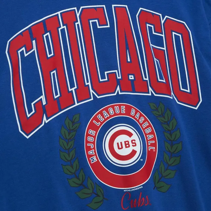Hoodies and Sweatshirts Women Mitchell and Ness Womens Logo Lt Crew 20 Chicago Cubs
