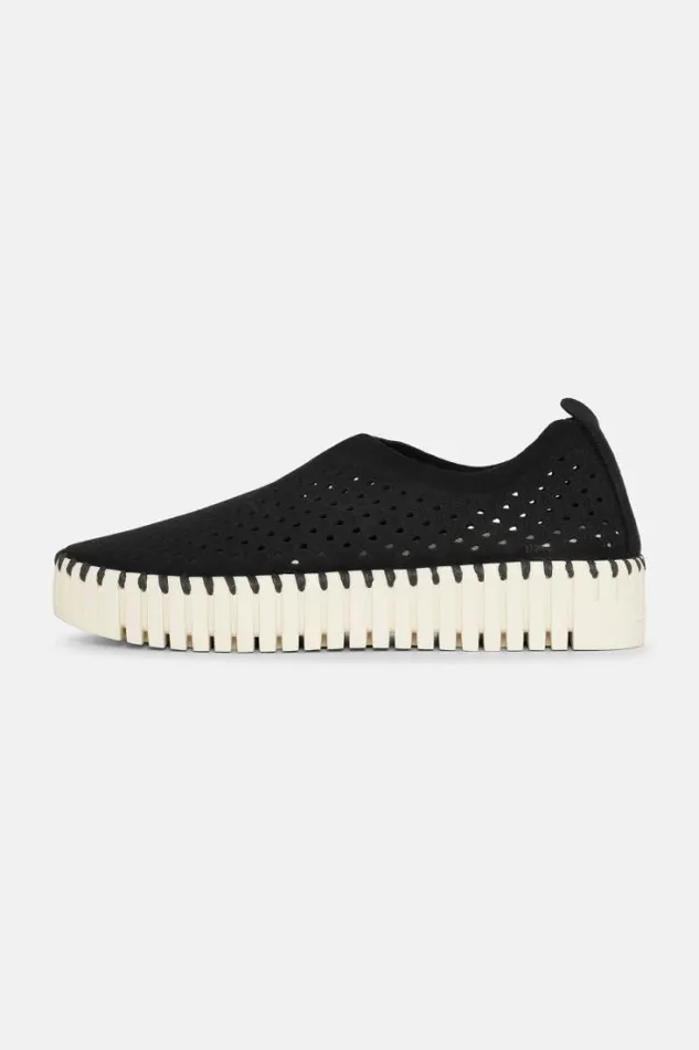 Ilse Jacobsen Tulip Flats Flats Black 8211 Women Ilse Jacobsen Tulip Flats Flats Black 8211 Women