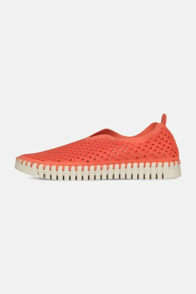 Ilse Jacobsen Tulip Flats Tulip SlipIn Raspberry 8211 Women Ilse Jacobsen Tulip Flats Tulip SlipIn Raspberry 8211 Women