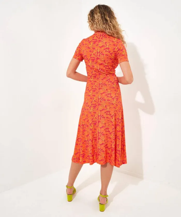 Joe Browns Dresses Loretta Print Jersey Dress 8211 Women Joe Browns Dresses Loretta Print Jersey Dress 8211 Women