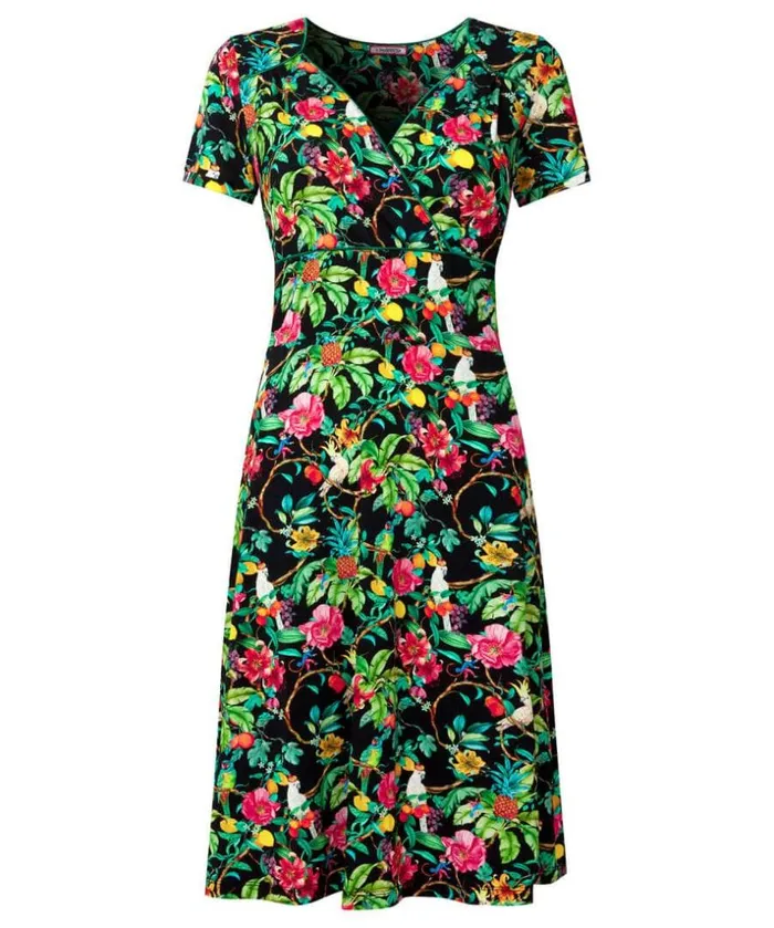Joe Browns Dresses Pretty Parrot Jersey Dress 8211 Women Joe Browns Dresses Pretty Parrot Jersey Dress 8211 Women