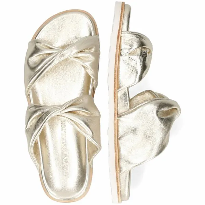 Melvin and Hamilton Wilma 16 Gold Women Mules
