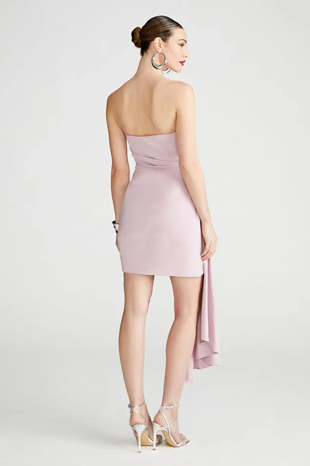 Nitara Dress In Crepe Mauve Blush Women Halston Dresses