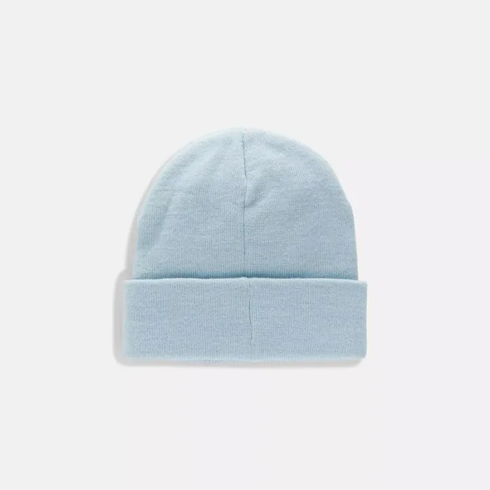 Reebok Reebok Logo Cuff Hat Glassblue WomenMen Hats