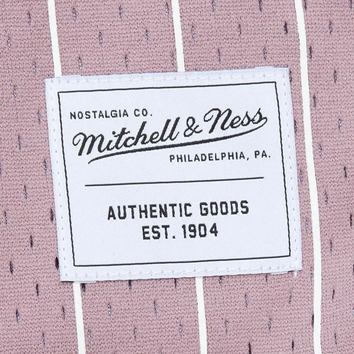 Shorts Men Mitchell and Ness Branded MandN Pinstripe Game Day 20 Shorts Shorts Men Mitchell and Ness Branded MandN Pinstripe Game Day 20 Shorts