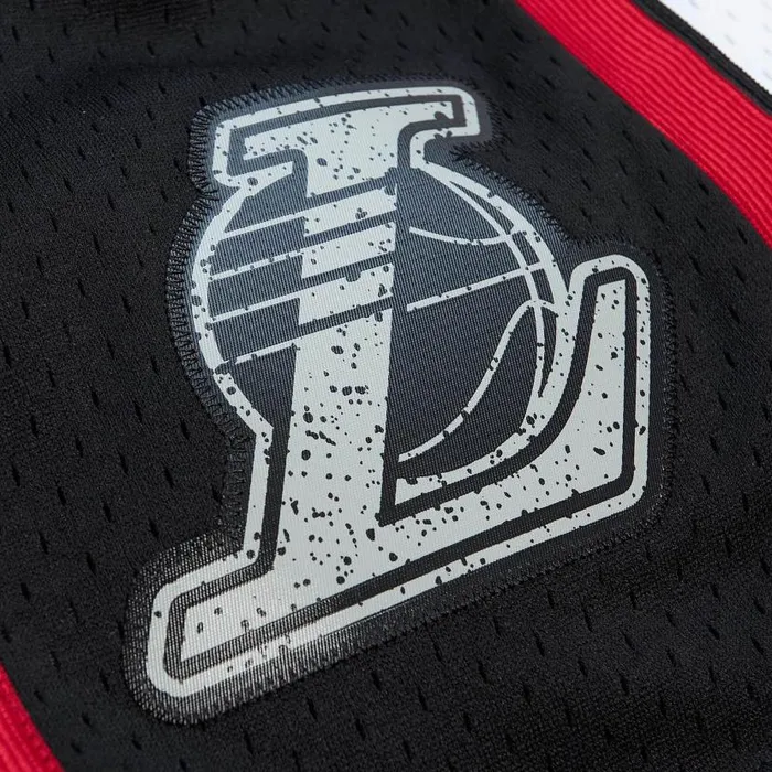Shorts Men Mitchell and Ness Cracked Cement Swingman Shorts Los Angeles Lakers 200910 Shorts Men Mitchell and Ness Cracked Cement Swingman Shorts Los Angeles Lakers 200910