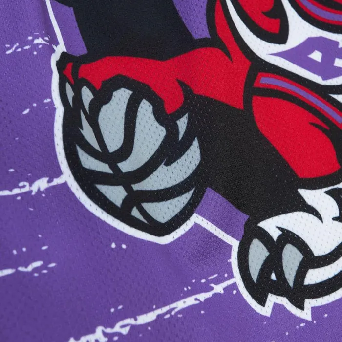 Shorts Men Mitchell and Ness Jumbotron 30 Shorts Toronto Raptors Shorts Men Mitchell and Ness Jumbotron 30 Shorts Toronto Raptors