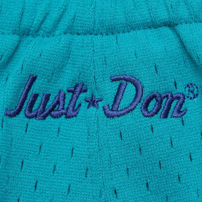 Shorts Men Mitchell and Ness Just Don Practice Shorts Charlotte Hornets Shorts Men Mitchell and Ness Just Don Practice Shorts Charlotte Hornets