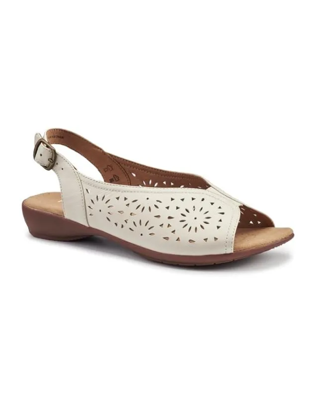 Sunrise Sandals Ivory Women Hotter Flat Sandals