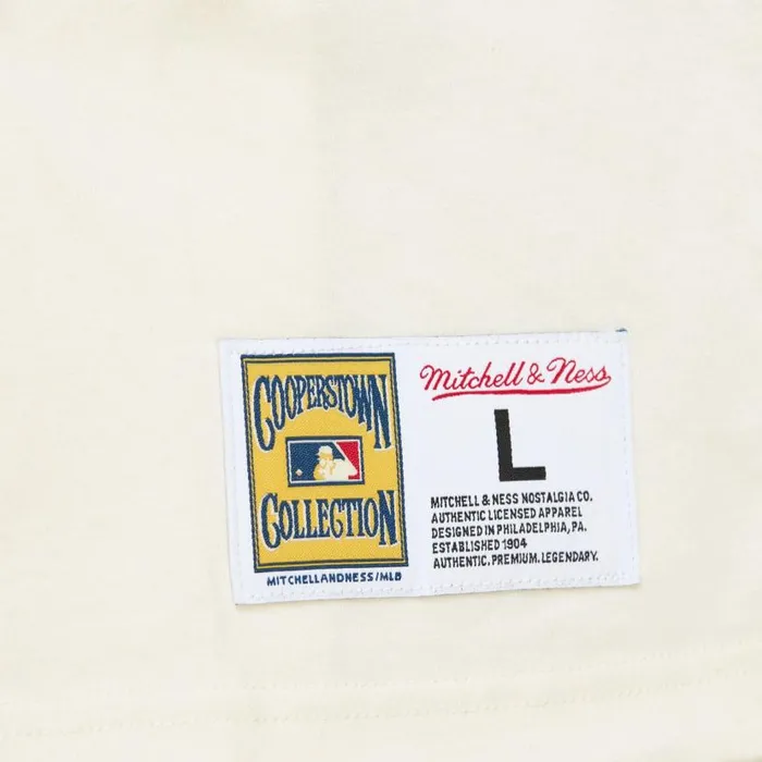 TShirts and Tops Men Mitchell and Ness Legends Photo Real Tee Vintage Logo San Diego Padres Tony Gwynn TShirts and Tops Men Mitchell and Ness Legends Photo Real Tee Vintage Logo San Diego Padres Tony Gwynn