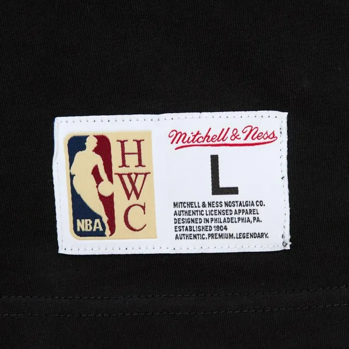 TShirts and Tops Men Mitchell and Ness Team OG 20 Premium SS Tee Vintage Logo Los Angeles Lakers TShirts and Tops Men Mitchell and Ness Team OG 20 Premium SS Tee Vintage Logo Los Angeles Lakers