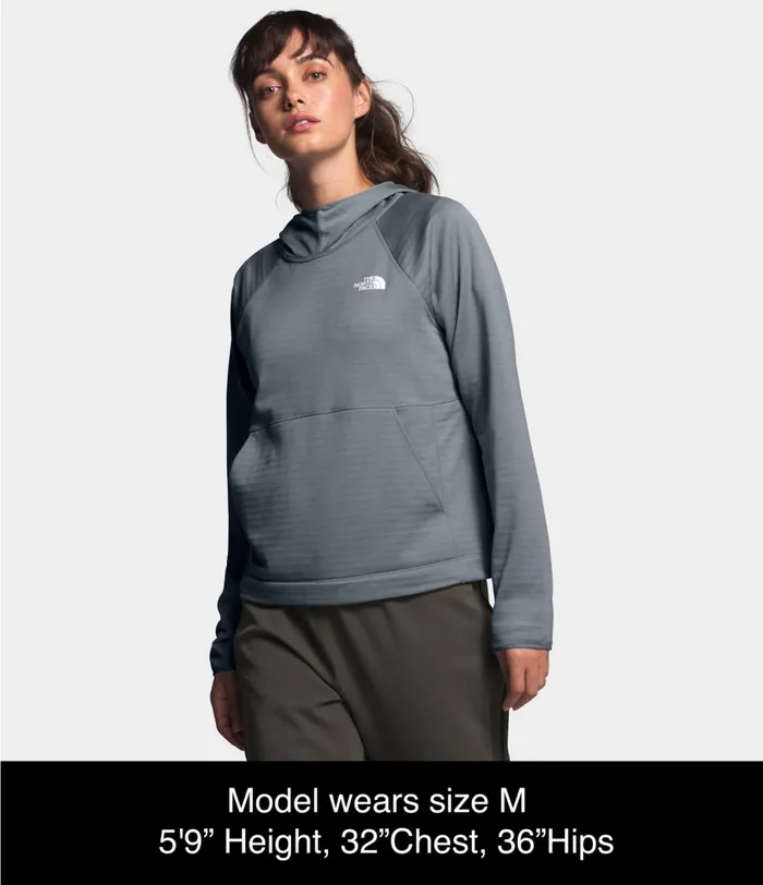 The North Face Hoodies and Sweatshirts Womens Echo Rock Pullover Hoodie Mid Grey