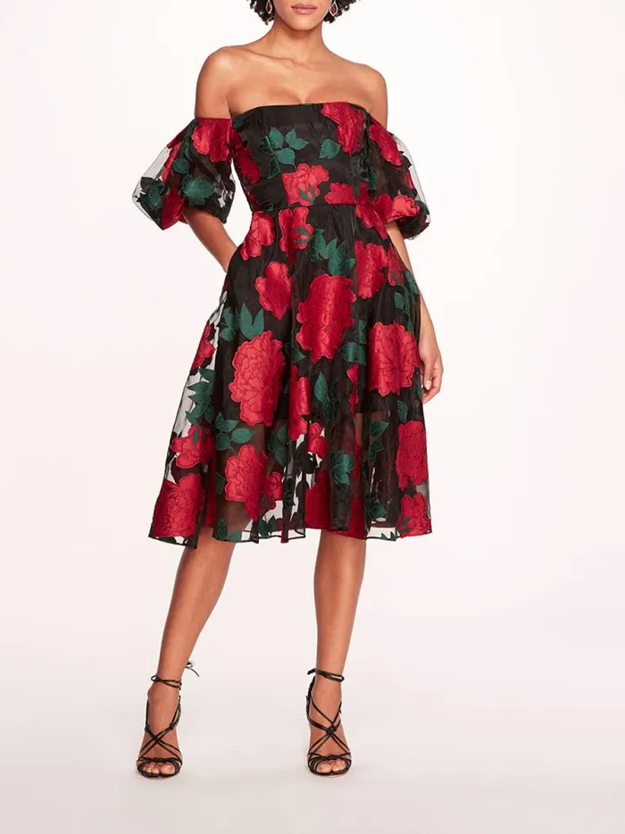 Women Claude Midi Dress Black Multi Marchesa Marchesa Notte