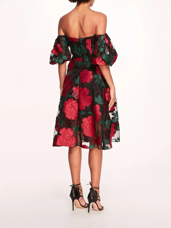 Women Claude Midi Dress Black Multi Marchesa Marchesa Notte