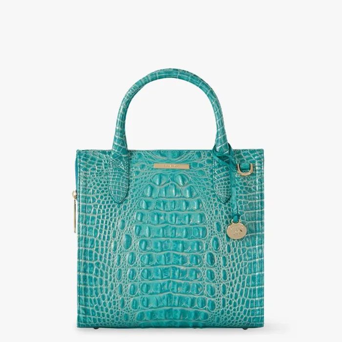 Women Small Caroline Mermaid Green Melbourne Brahmin Satchels Chevron