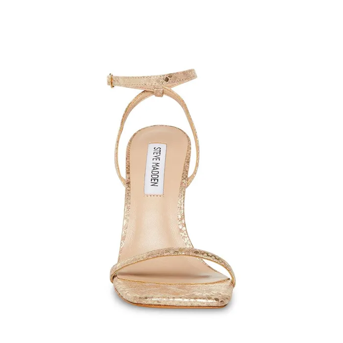 Womens Steve Madden Heels Midnight Gold Snake
